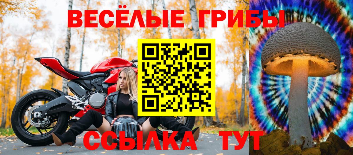 Галлюциногенные грибы прущие грибы  Вход с VPN  Волгодонск 