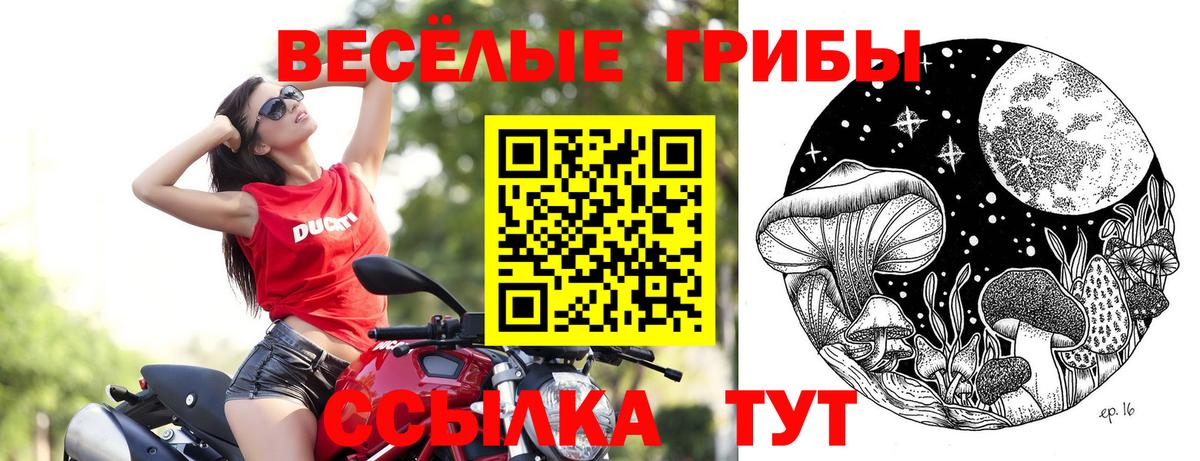 Псилоцибиновые грибы мицелий Волгодонск